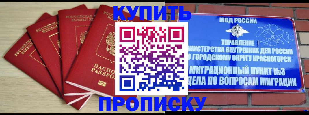пропишу в квартире в Городце